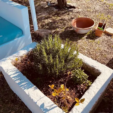 Trulli Mancinella *